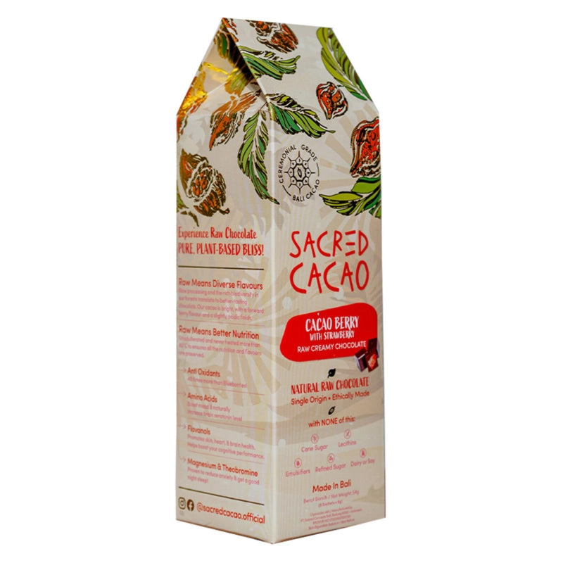 Carton of cacao berry and strawberry chocolate on a white background. Angle view.